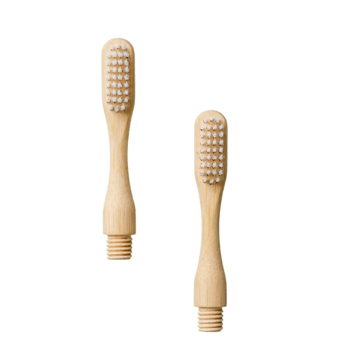 Compostable Toothbrush Heads