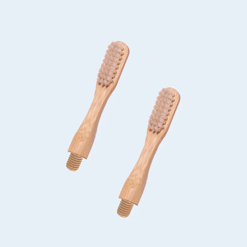 Compostable Toothbrush Heads