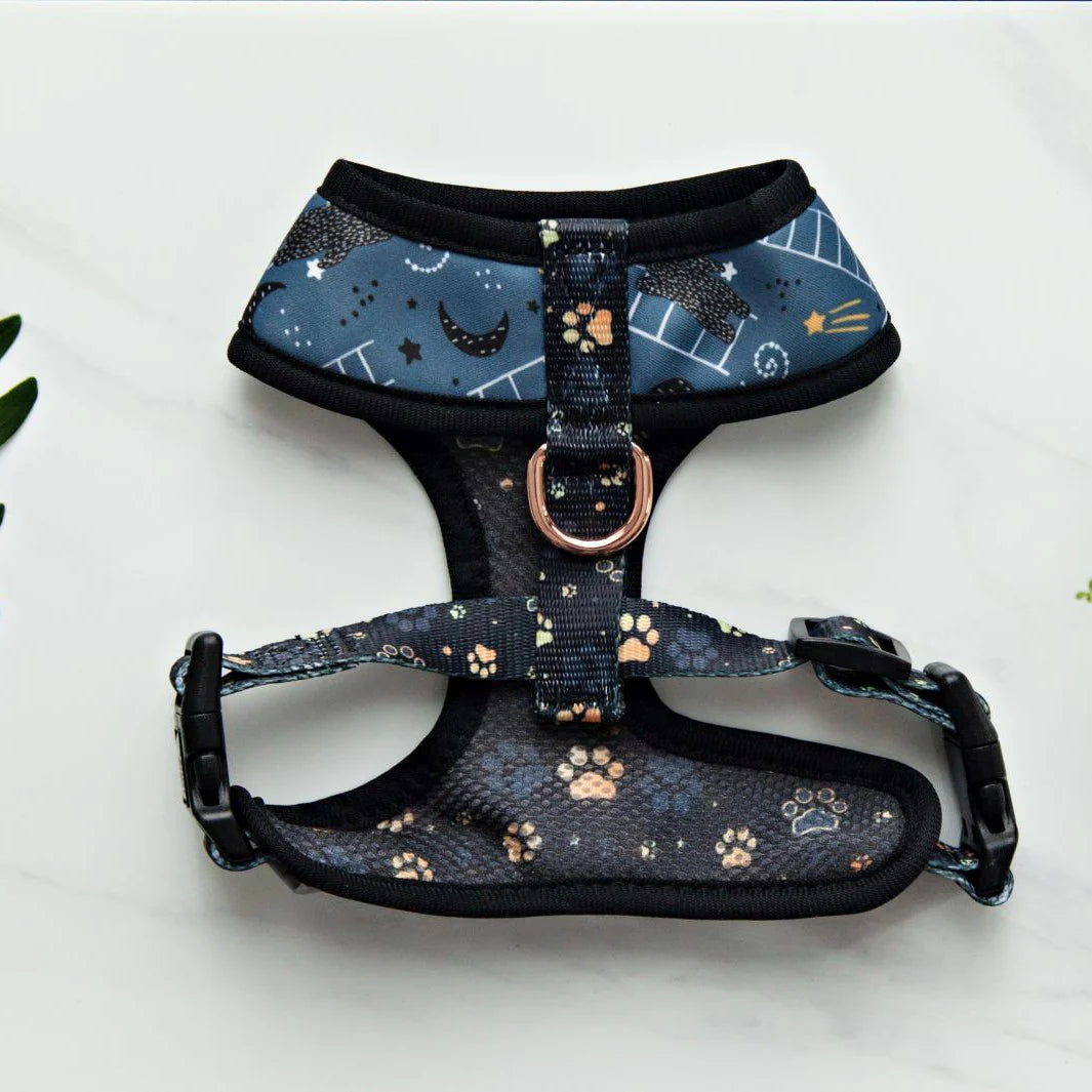 Reversible Dog Harness - I love you Beary Much