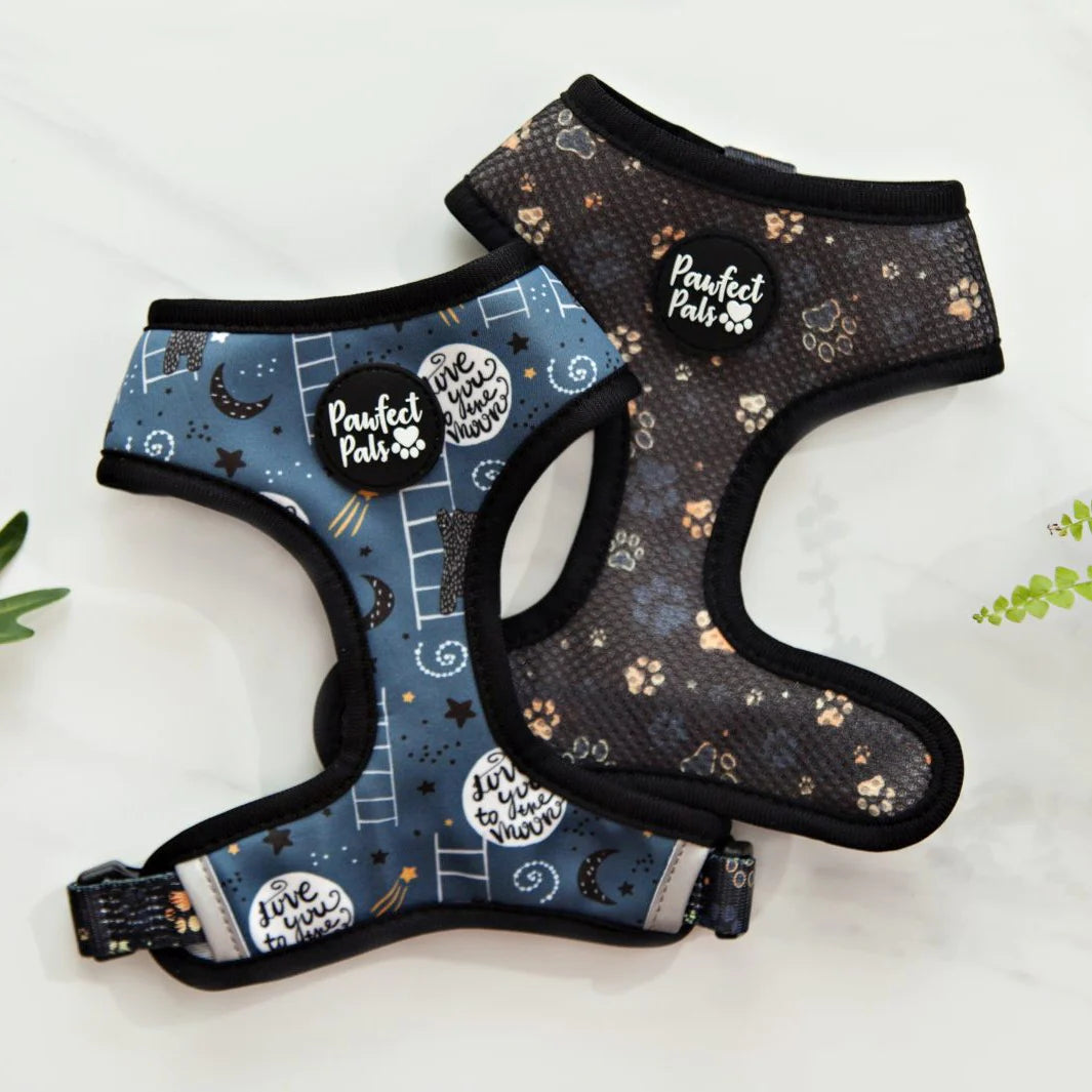 Reversible Dog Harness - I love you Beary Much