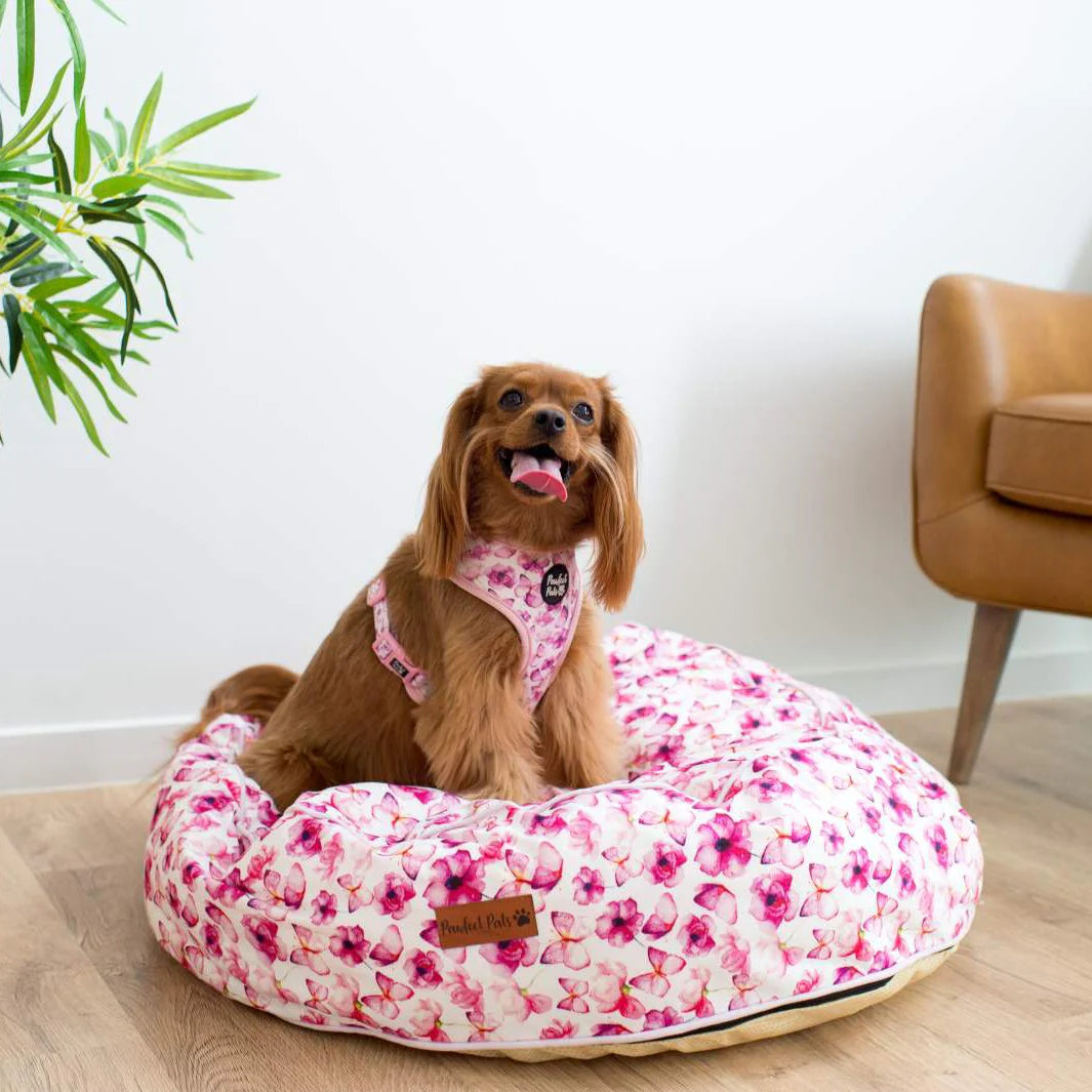 Cuddle Bud Dog Bed - Butterflies