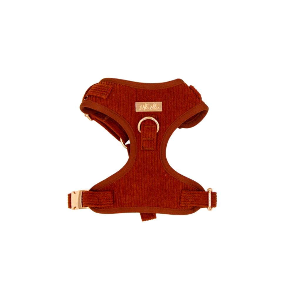 Adjustable Harness